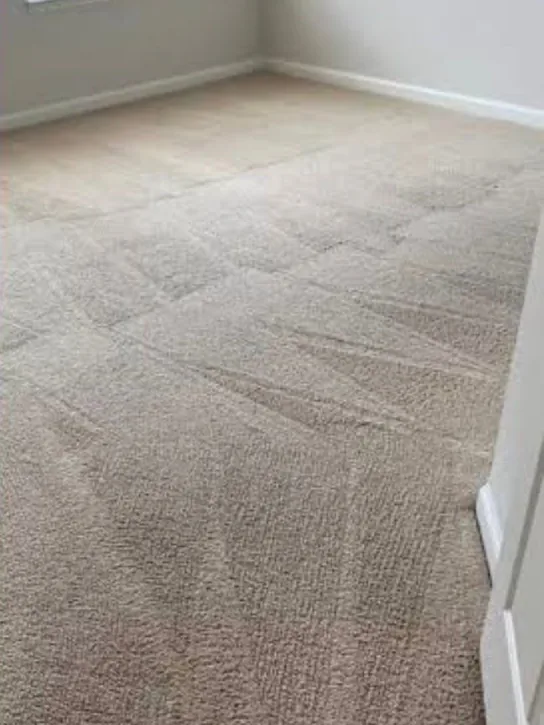 After: the same bedroom carpet, bright and even, with fresh cleaning strokes in the pile