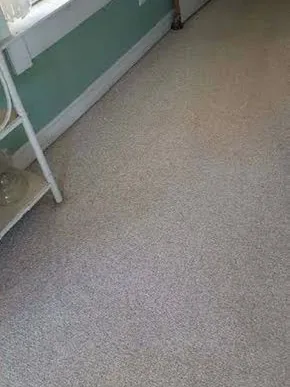 After: the same pale carpet, evenly clean, with the stains gone