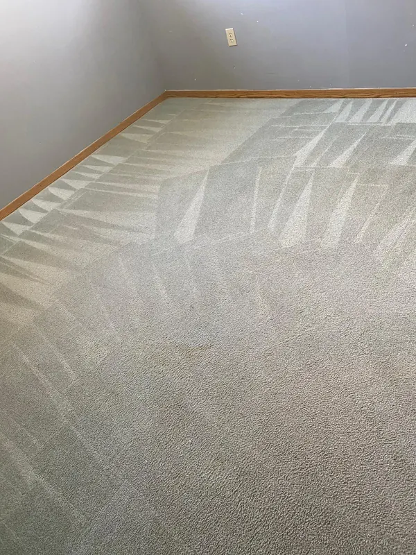 A freshly cleaned grey carpet in an empty room, showing the fan-shaped strokes of the cleaning wand